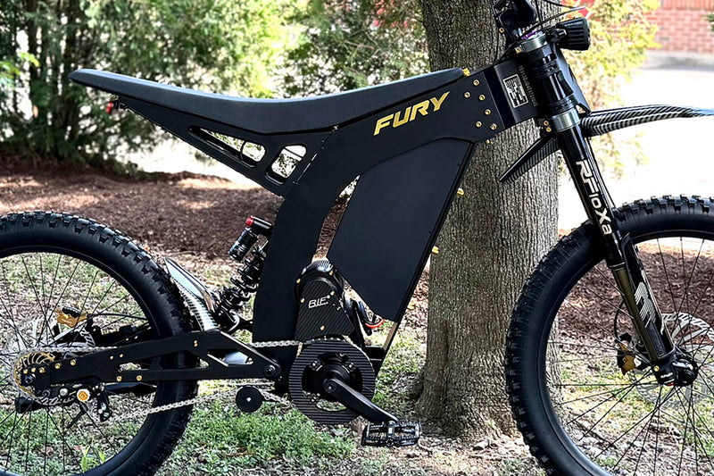 RIF Fury Premium