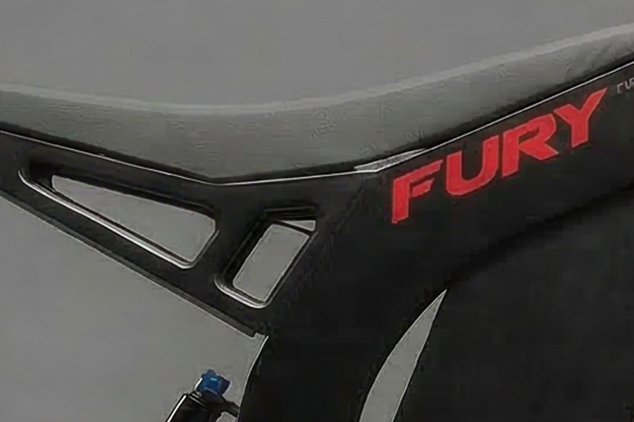 RIF Fury